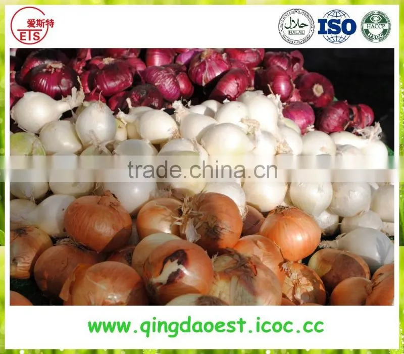 Export china Fresh organic new crop red and yellow onion