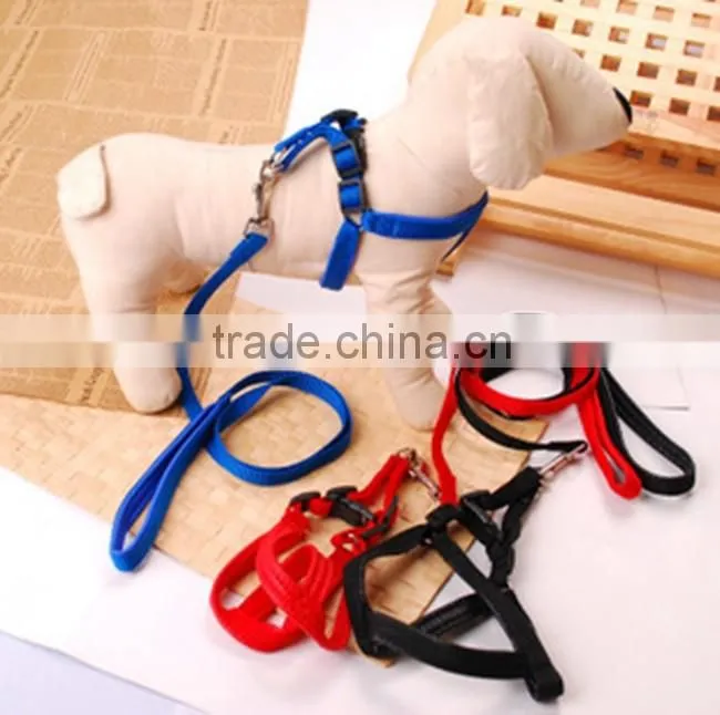 pet collar