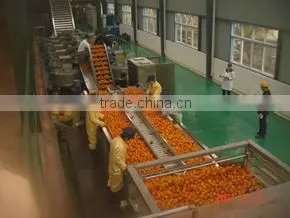 PET bottle hot filling fruit juice line