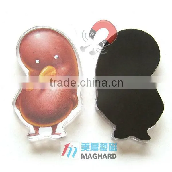 Acrylic fridge magnet