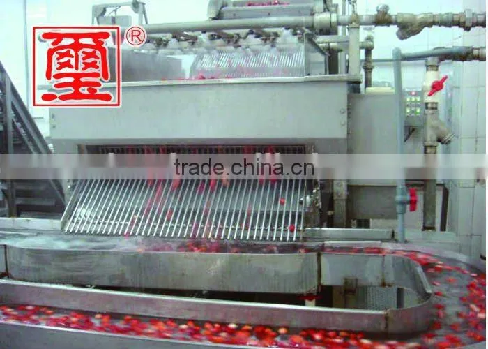 2016 top grade quality frozen strawberry