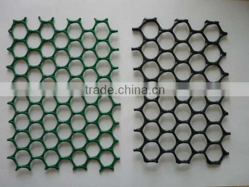 HDPE geonet