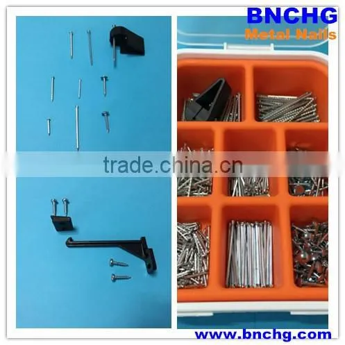 Wholesale Flat Head Stainless Steel nail Drive Screw nails