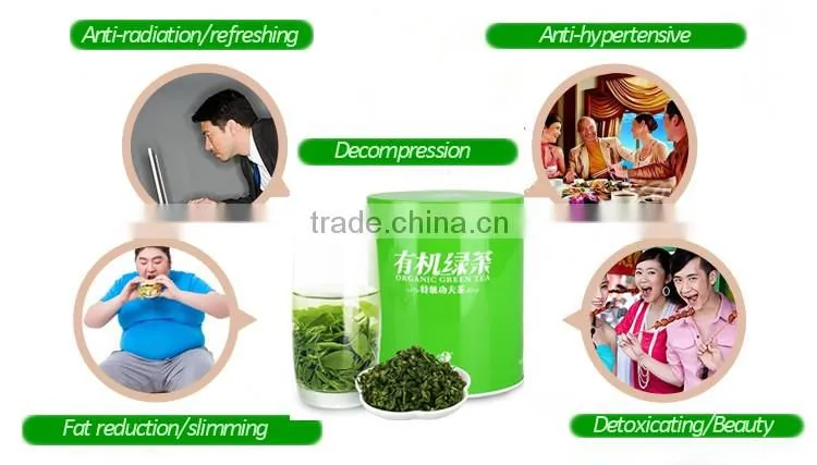 Organic Green Tea packed with tins