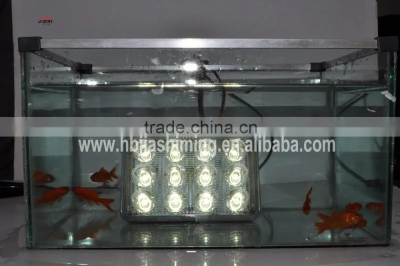 led auto working light led spot light for truck