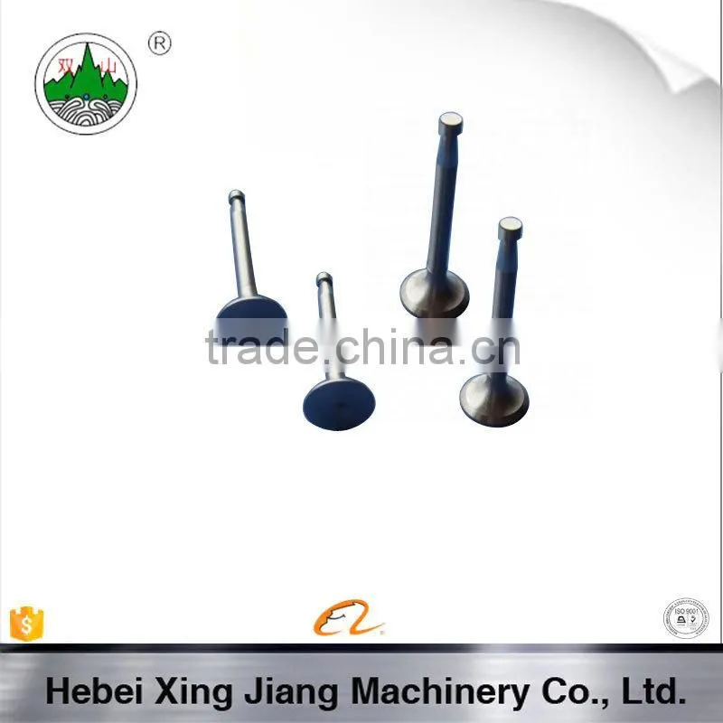 China Working Tractor Parts R170 Valve For Diesel Engine