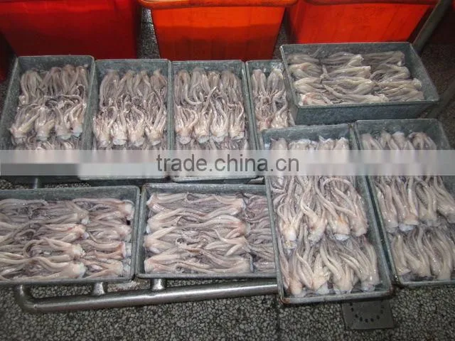 hot sale squid tentacle