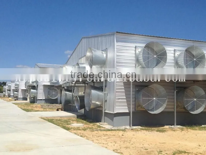 lage-scale chicken poultry farm overall design and building