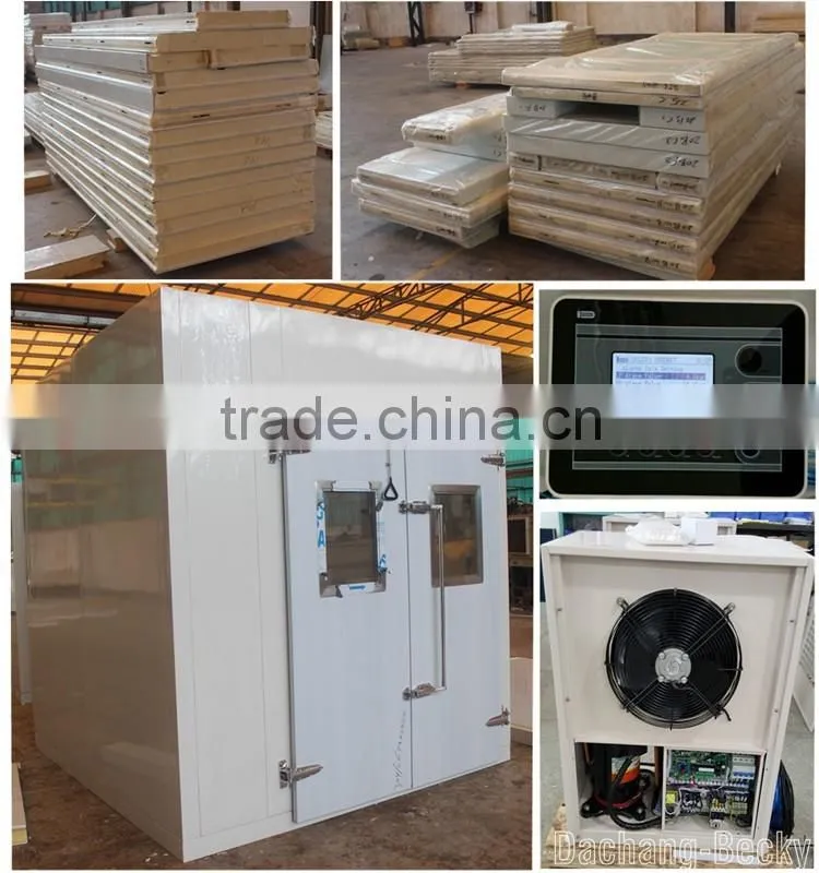 polyurethane cold room refrigerator and freezers with compressor