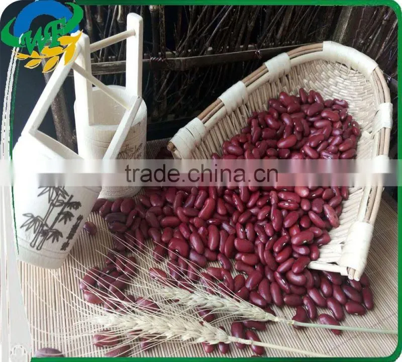 new Crop Dark Red Kidney Beans