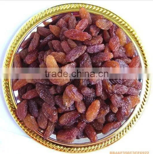 red currant--HOT