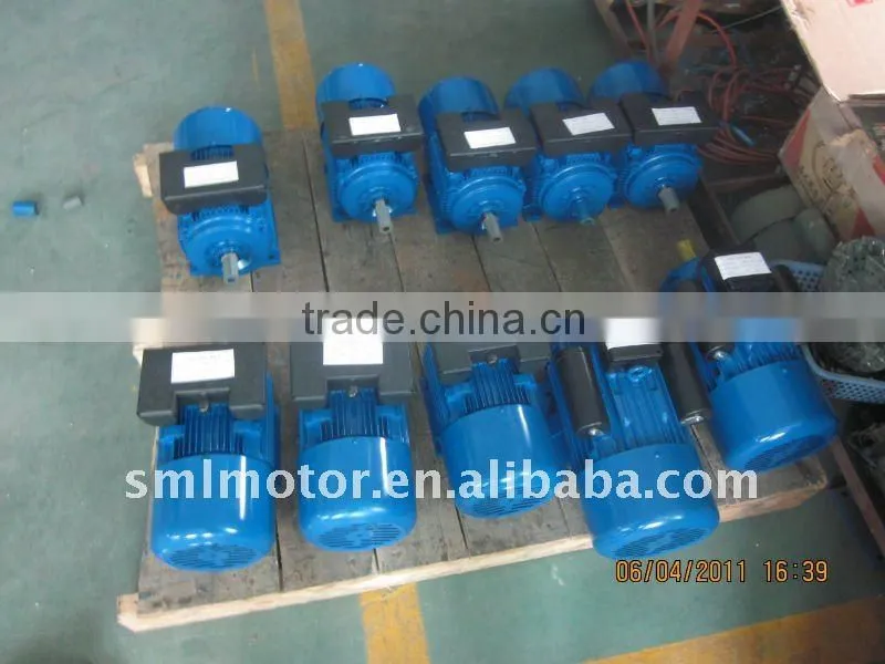 6 - pole Y series electric motor