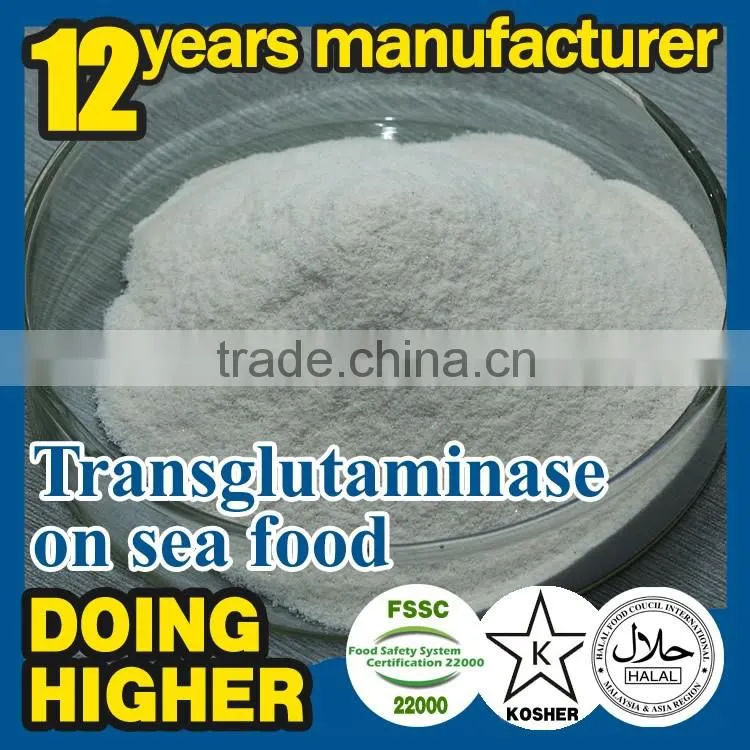 TG enzyme apply on meat paste High quality factory supply TG enzyme