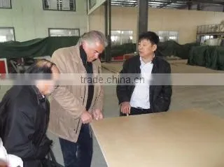 Senyu New Materials Technology Co., Ltd. company overview - view 2