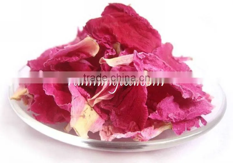 Azaleas Flower