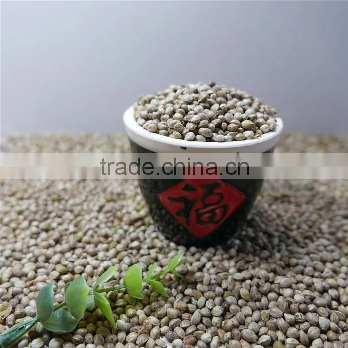 Hemp Seeds for sale