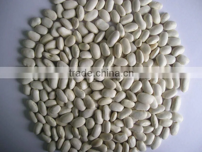 New crop white beans
