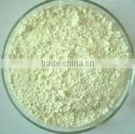 High Quality Natural Saw Palmetto Tablet from Qingdao BNP