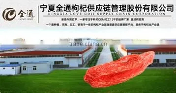 GOJI BERRIES----best quality ! --CCTV1