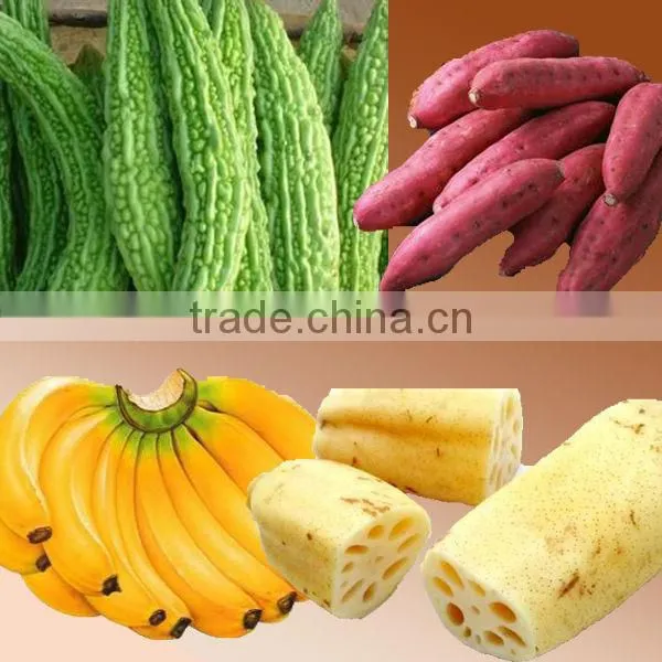 2014 2014 stainless steel vegetable and fruit cutting machine