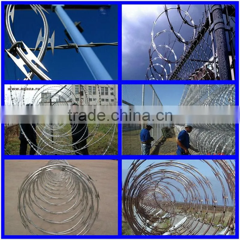 Factory Good Quality Best Price Hot Dipped Galavnized Razor Barbed Type Wire