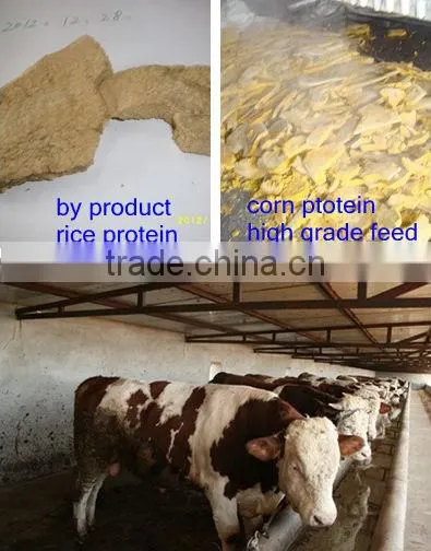 maltose syrup plant&use corn produce maltose syrup directly