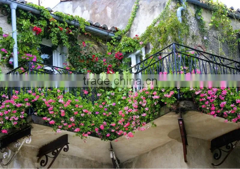 Flower Fulvic acid fertilizer