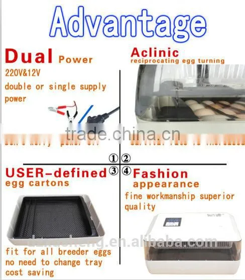 XS-60 thermostat energy saving reptile egg hatchery machine Africa