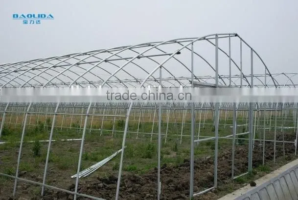 plastic film tunnel greenhouse