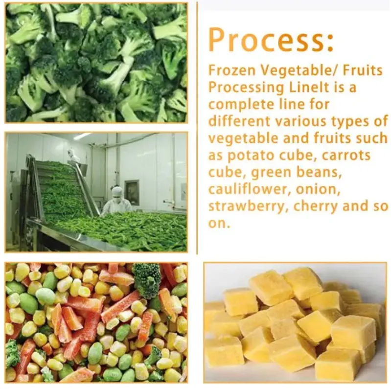Shanghai IQF Quick Freeze System for Fresh Fruits & Vegetables Instant Frozen Vegetable Machine