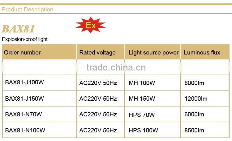 BAX81 explosion-proof light