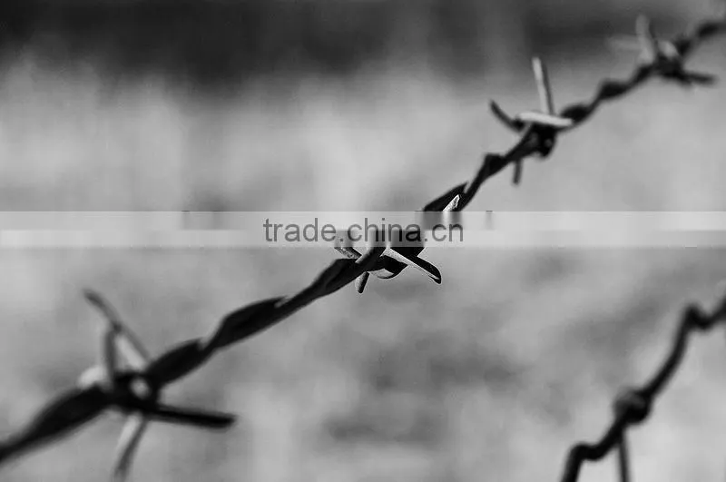 Security electro galvanized barbed wire fencing installation
