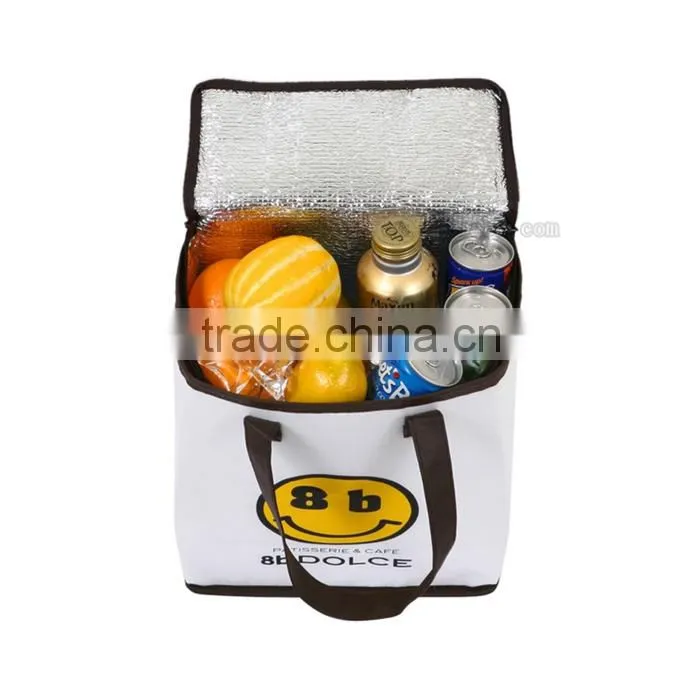 Exceptional Quality Custom Printed Logo Elegant And High End Frozen Food Soft Sided Insulated Cooler Bag
