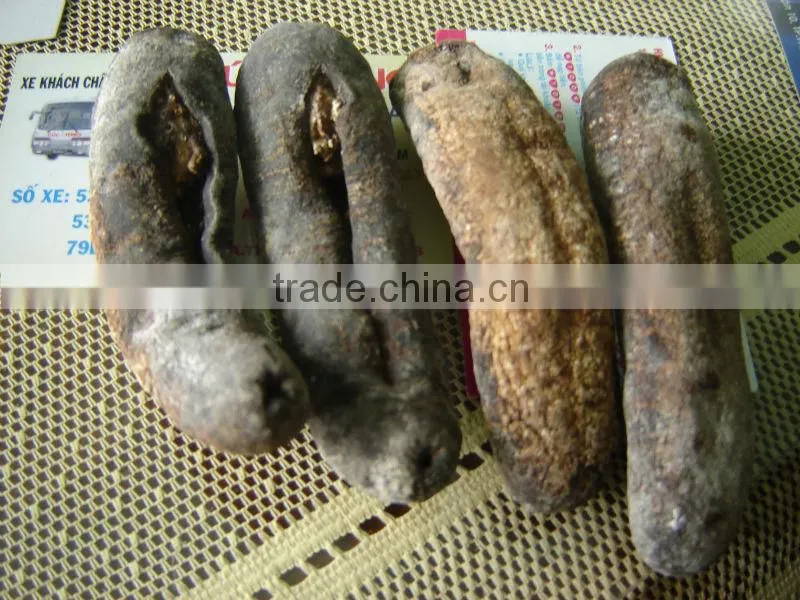 Dried Sea cucumber/ Dried Trepang