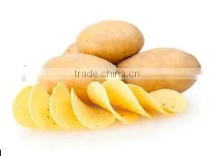 high quality low price automatic potato chips making machine