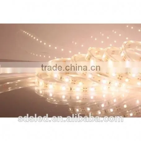 SDSLED IP68 60LED/m Warm White DC12V 3528 Waterproof LED Strip Light