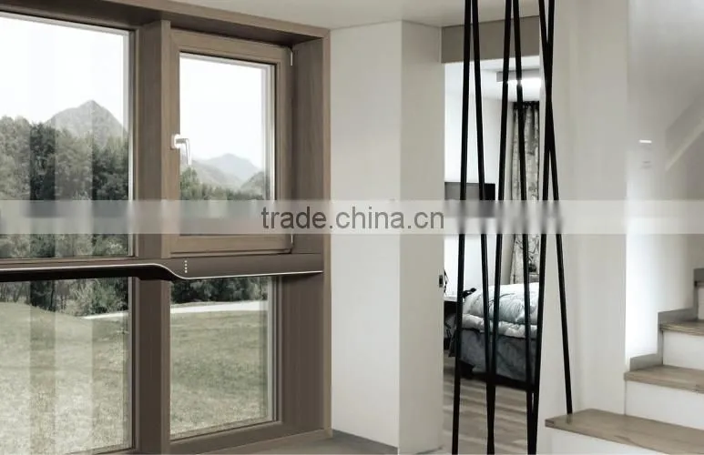 Foshan modern style and clear pastic casement window