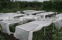 hot sale 30g cheap pp fabric for agriculture with ISO9001