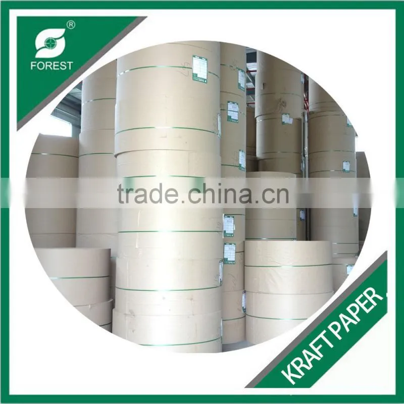FOOD GRADE COATED KRAFT PAPER 250-350GSM