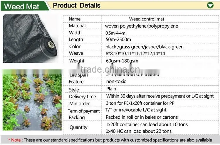 hot sale pp/pe woven black grass cloth fabric