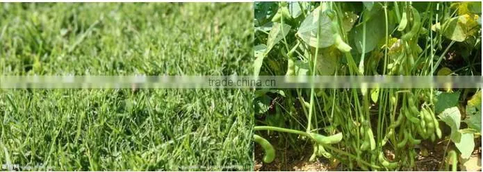 wheat crop cutter,wheat cutting machine