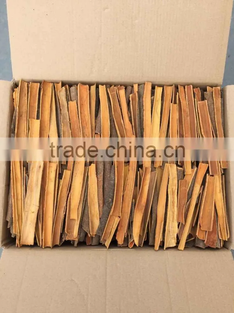 Zhaoqing Homeborn Trading Co., Ltd. company overview - view 3