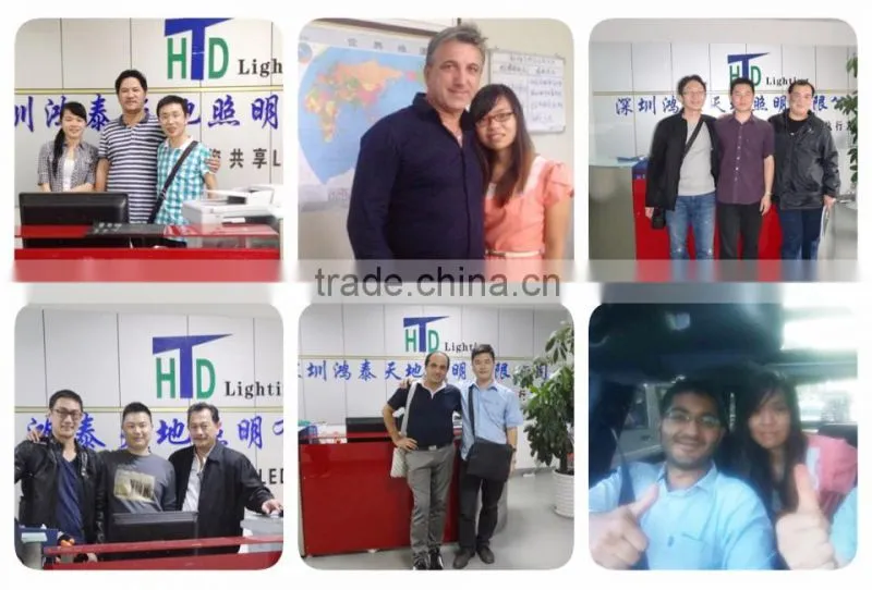 led decorative IP65 led point source lights fancy light wholesale for building lighting