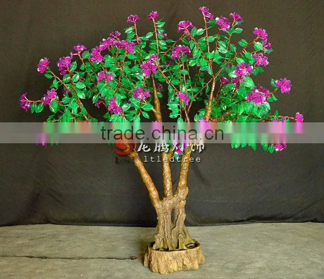 bonsai flowering cherry tree