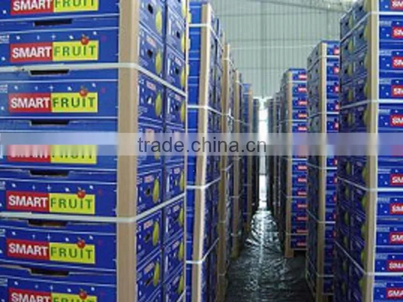 china sweet honey pomelo