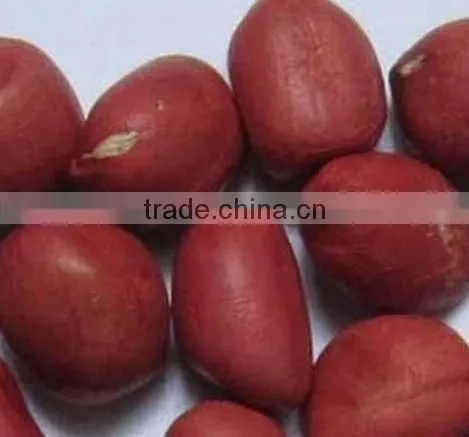 HIGH QUALITY GROUNDNUT KERNEL 40/50