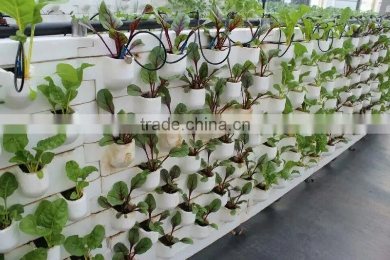 Seed Planter Hydroponic Rockwool