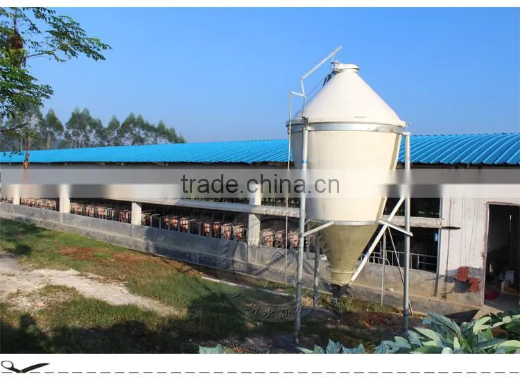 Automatic pig feeding system for fattening pig