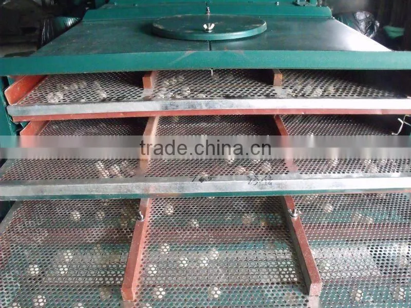Mung Bean Processing Line