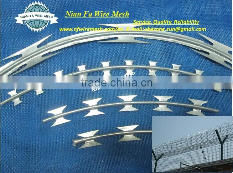 Stainless Steel Razor Barbed Wire Manufacturing (Factory) Guangzhou